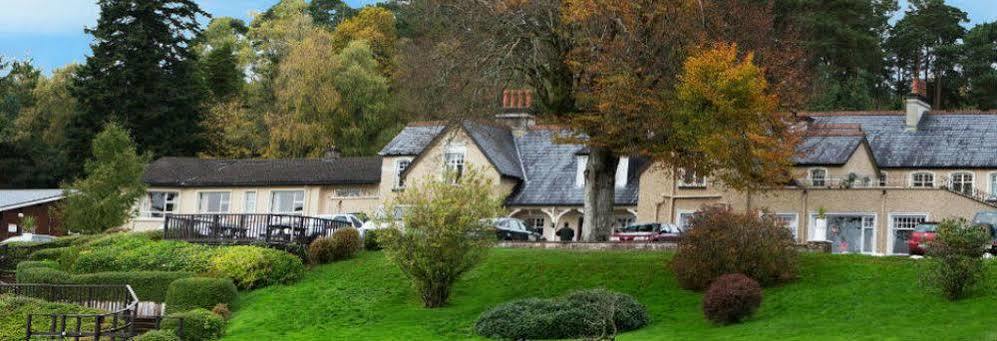 Kilcoran Lodge Hotel & Leisure Centre Кэр Экстерьер фото